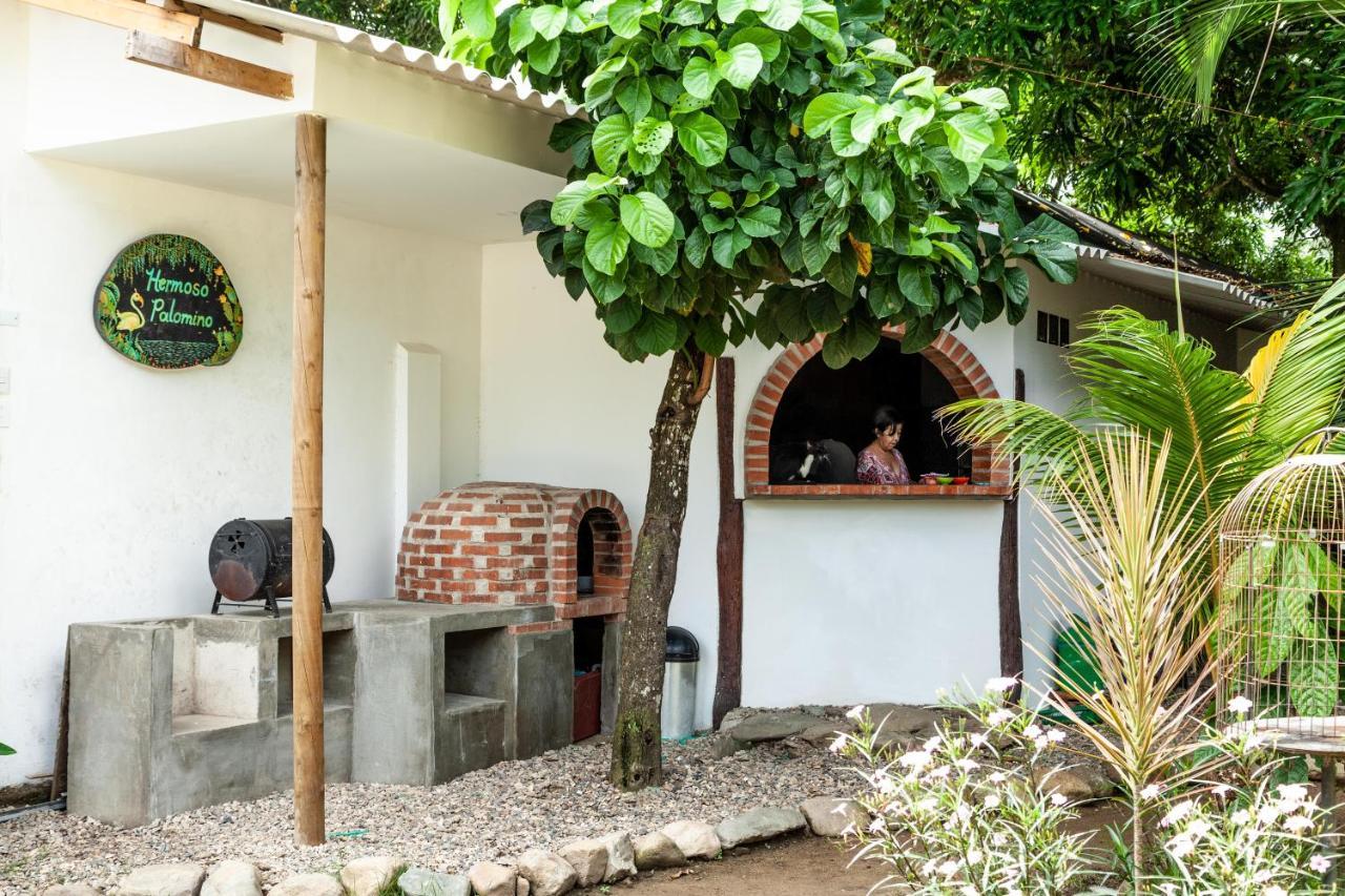 Hostal Hermoso Palomino Kültér fotó