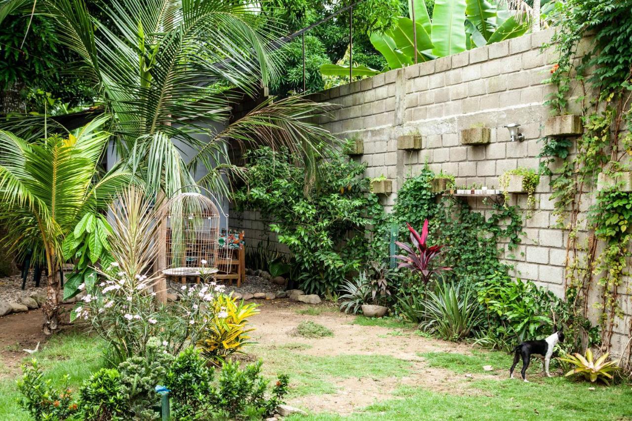 Hostal Hermoso Palomino Kültér fotó