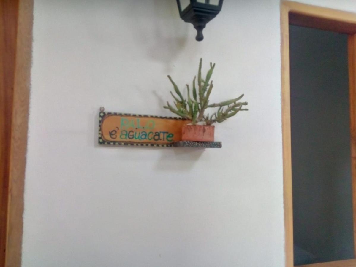 Hostal Hermoso Palomino Kültér fotó